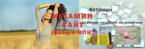 сатива Володарск
