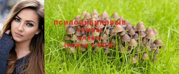 мяу мяу мука Сатка