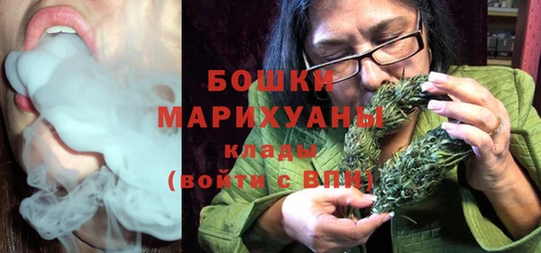 сатива Володарск
